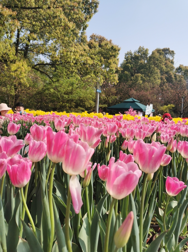 1615951387783065653.jpg IMG_4467(20210317-111518).jpg