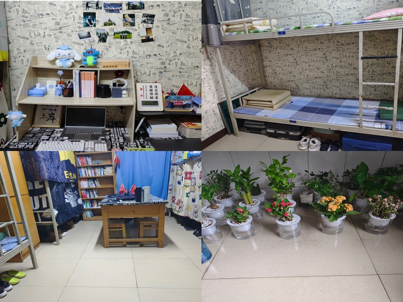 Onsm_1736747356026097142.jpg 菊苑641.jpg