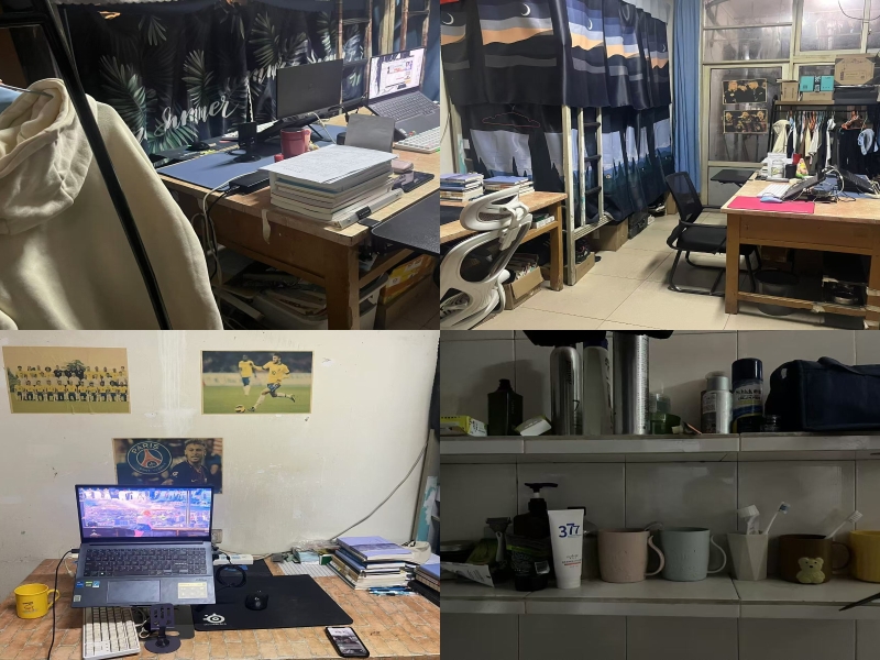 UDeZ_1736747595655070362.jpg 菊苑310.jpg