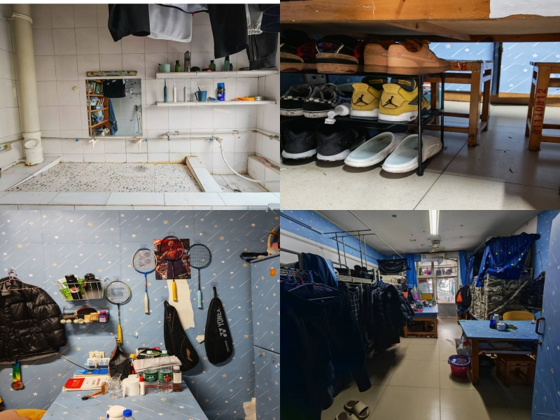 gtAw_1736747563300053502.jpg 菊苑437.jpg